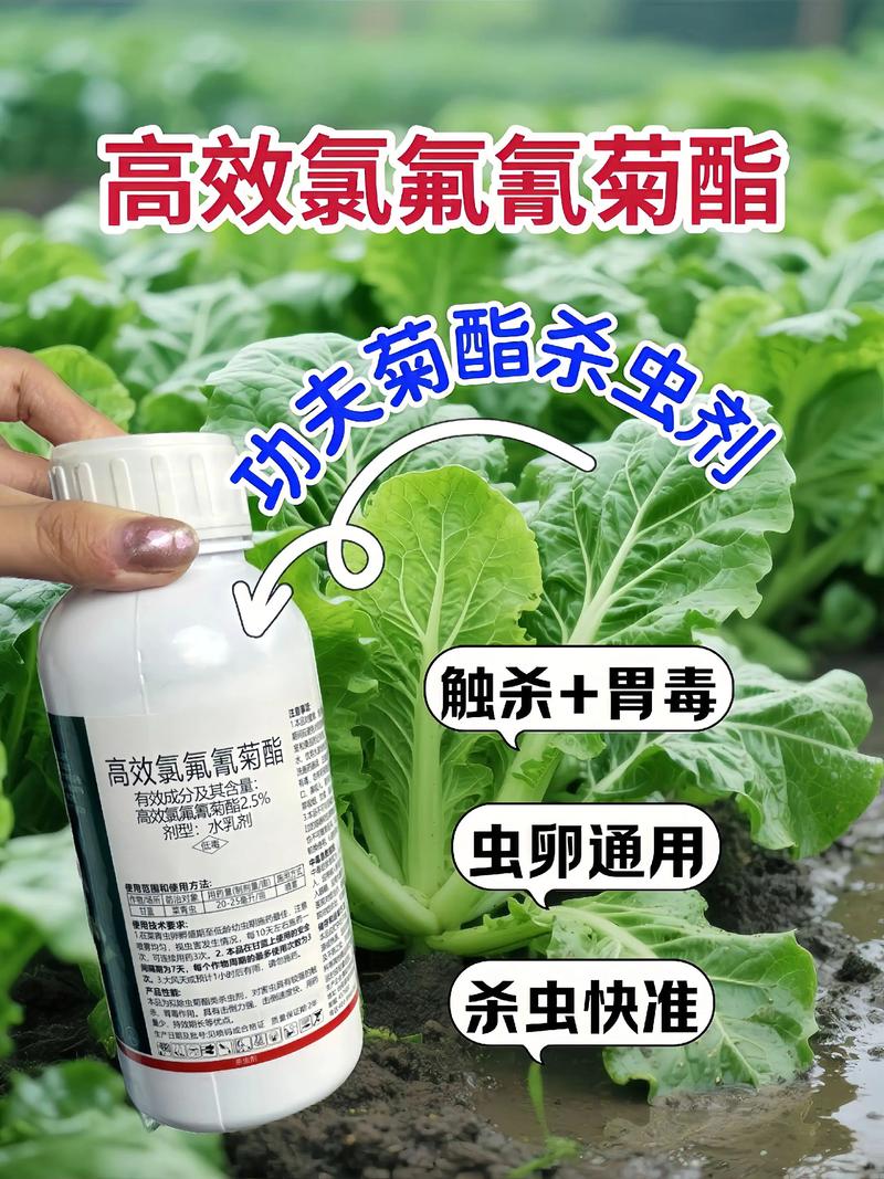 黔南代生中心:农药对供卵代生妈妈的危害